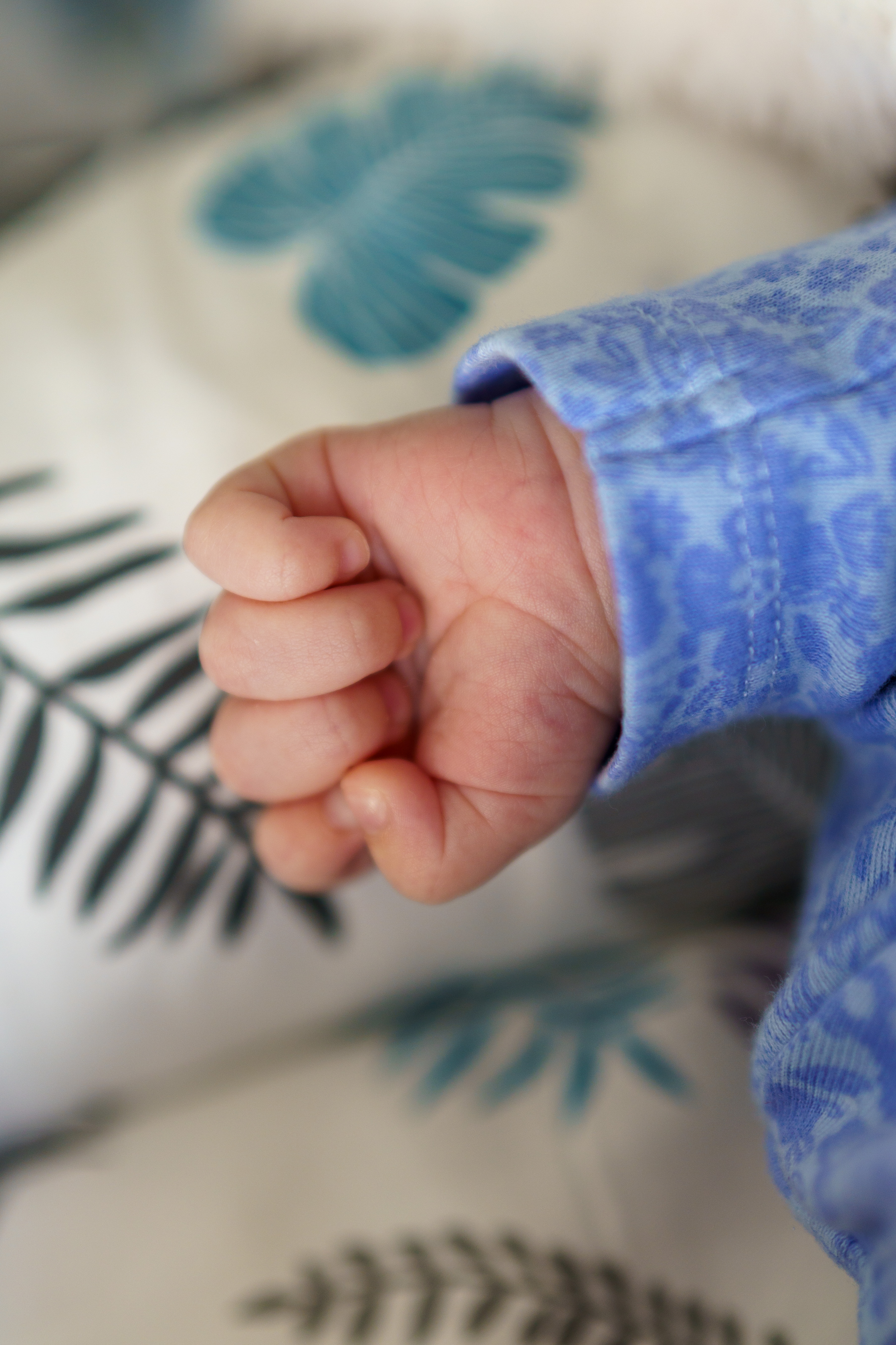 Isabella's tiny hand
